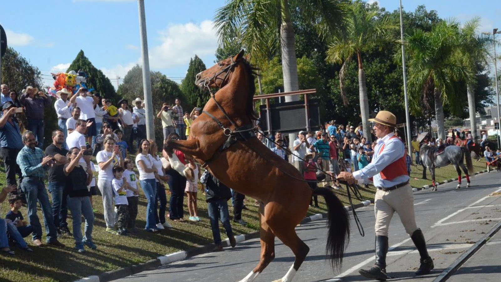 Cavalaria Antoniana será realizada no próximo dia 11 de junho