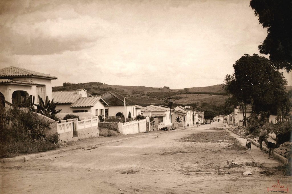 árvores De Amarração. As Precintas Vão Até a Bola De Chão E As