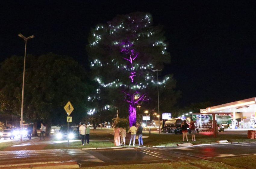 ÁRVORE ILUMINADA ENCANTA QUEM PASSA PELO PARQUE LINEAR EM JAGUARIÚNA