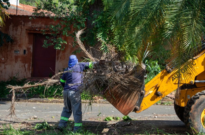 SERVIÇOS DE CATA-ENTULHO, BAGULHO E GALHOS: CONFIRA O CRONOGRAMA