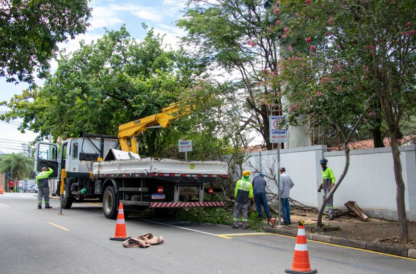 SECRETARIA DE OBRAS REALIZA PODA DE ÁRVORES NA ESCOLA AMÂNCIO BUENO