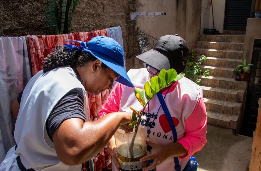 NOVA JAGUARIÚNA RECEBE MUTIRÃO CONTRA A DENGUE NESTE FIM DE SEMANA 