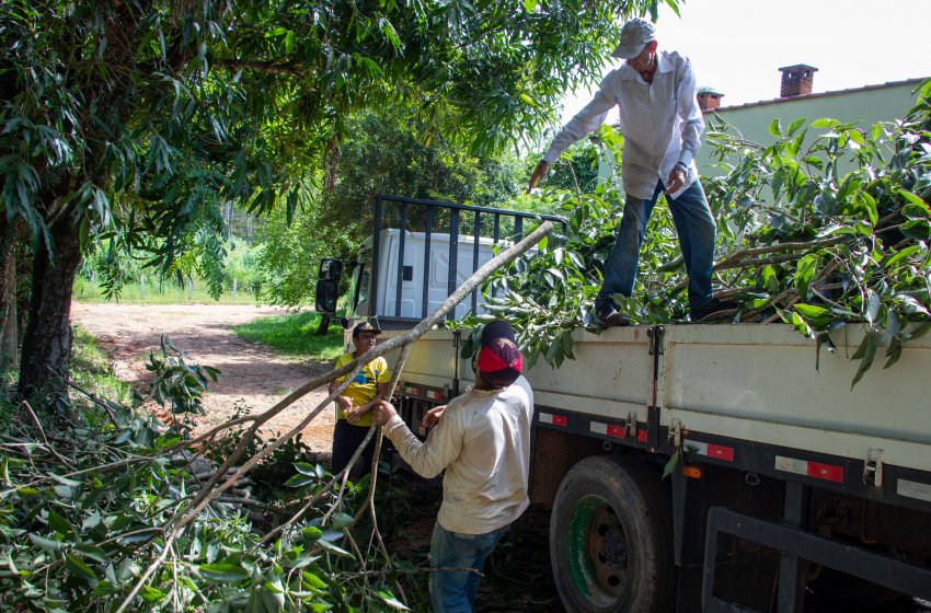 SECRETARIA DE OBRAS REALIZA PODA DE ÁRVORES NO RESIDENCIAL ANA HELENA