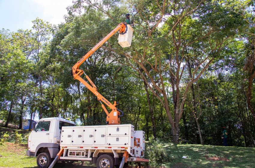SECRETARIA DE OBRAS REALIZA SERVIÇOS DE PODA DE ÁRVORES NO PARQUE DOS LAGOS