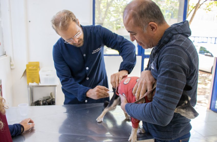 VACINAÇÃO ANTIRRÁBICA: AGENDAMENTO JÁ ESTÁ ABERTO EM JAGUARIÚNA