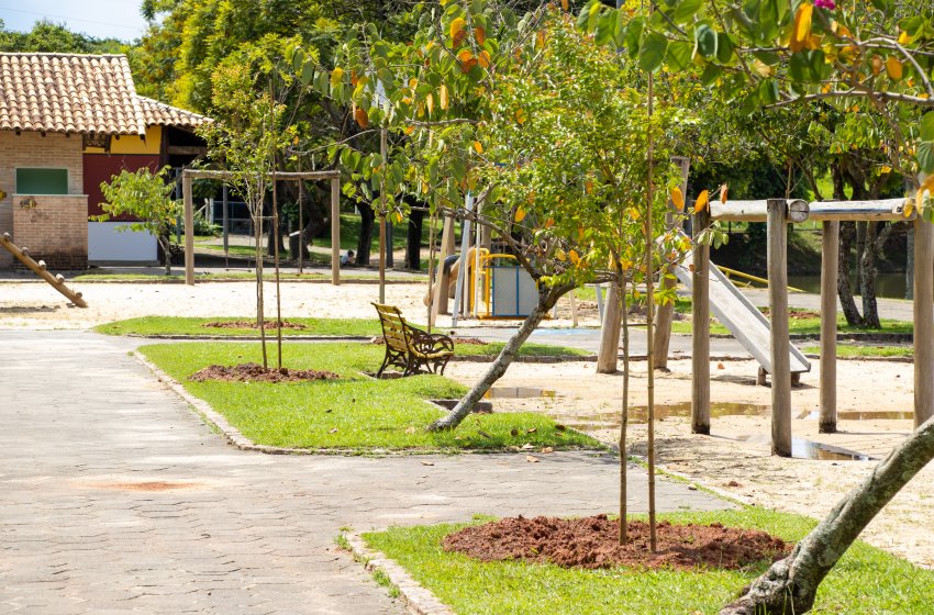 MEIO AMBIENTE REALIZA PLANTIO DE MUDAS NO PARQUE DOS LAGOS