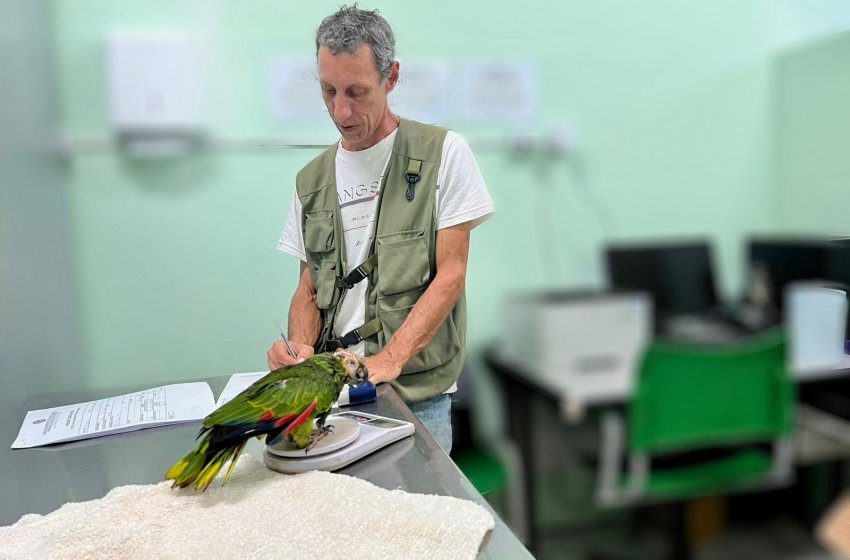 JAGUARIÚNA OFERECE ATENDIMENTO VETERINÁRIO GRATUITO A PETS NÃO CONVENCIONAIS 