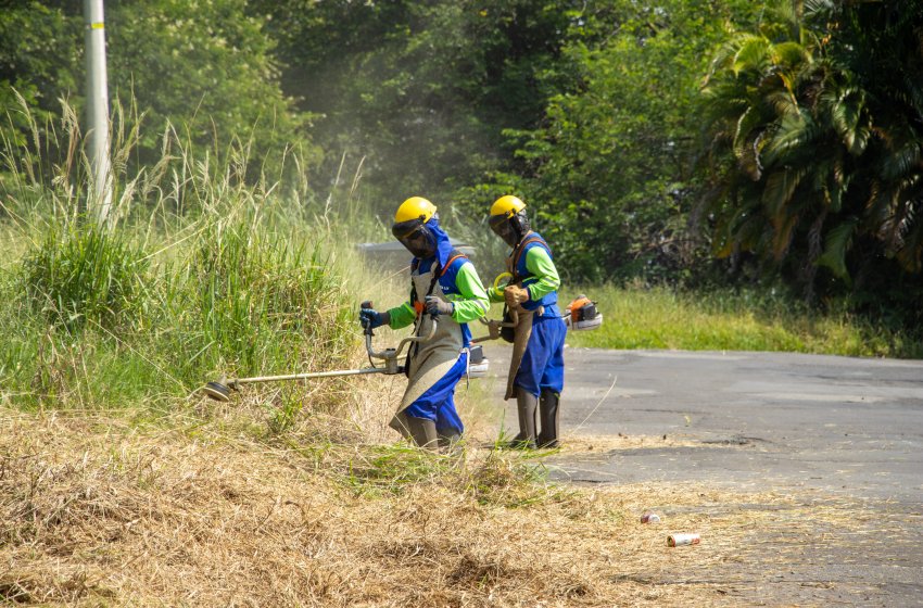 PREFEITURA REALIZA NESTA SEXTA SERVIÇOS DE ROÇAGEM EM VÁRIOS PONTOS DA CIDADE