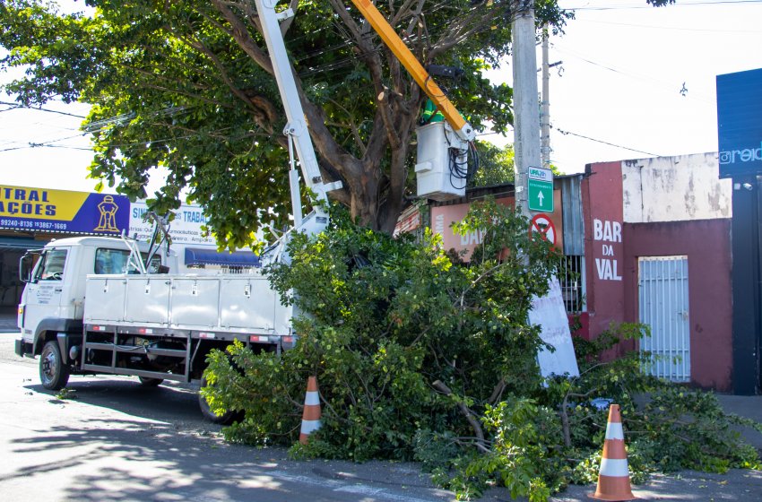 SECRETARIA DE OBRAS REALIZA SERVIÇOS DE PODA DE ÁRVORES 