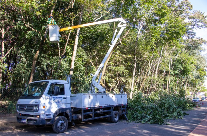 SECRETARIA DE OBRAS REALIZA SERVIÇOS DE PODA DE ÁRVORES 
