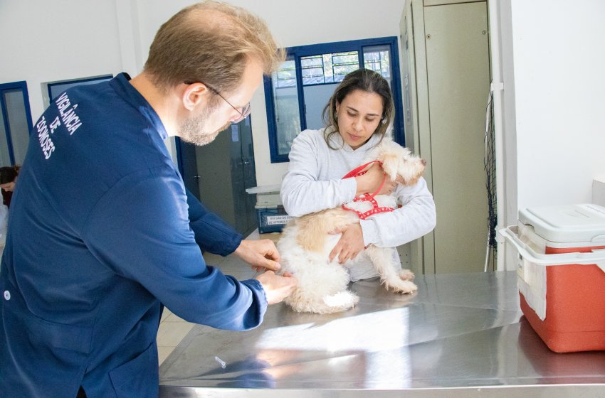 JAGUARIÚNA OFERECE VACINAÇÃO ANTIRRÁBICA GRATUITA PARA CÃES E GATOS