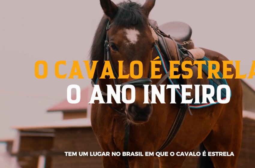 VEM AÍ A 51ª EDIÇÃO DA CAVALARIA ANTONIANA DE JAGUARIÚNA!